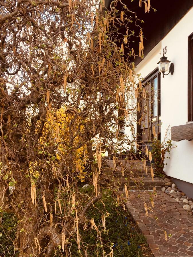 Hegau-Lounge-Bodensee Muhlhausen-Ehingen Exterior foto